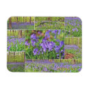 Suche nach blaue glocke Wildblumen