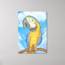 Suche nach niedlicher vogel leinwandbilder Papagei