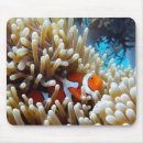 Suche nach korallenriff mousepads Clown