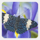 Suche nach tropische schmetterlinge aufkleber Exotisch