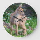 Suche nach rotwild poster wanduhren Tier