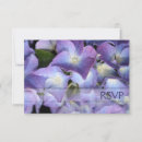 Suche nach lila hydrangea Blau