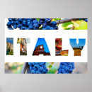 Suche nach weinberge poster Toskana