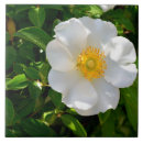 Suche nach cherokee fliesen Für alle