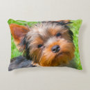 Suche nach yorkshire terrier dekokissen Hund