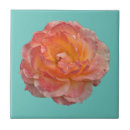 Suche nach frühling fliesen Blühend