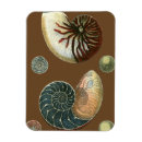 Suche nach verzieren sie magnete Küstenlinie