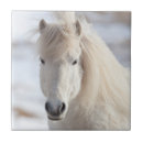 Suche nach fohlen fliesen Pony