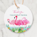 Suche nach flamingos Strand
