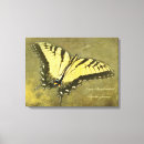 Suche nach papilio Papilio glaucus