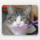 Suche nach hübsche katze mousepads Jede person