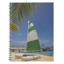 Suche nach kleines katamaran Schiff