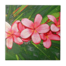 Suche nach frangipani fliesen Plumeria