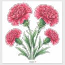 Suche nach nelke aufkleber Rosa