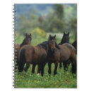 Suche nach mustang kleine notizbücher Reiter