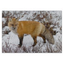 Suche nach fuchs schneidebrettchen Fleischfresser