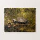 Suche nach schildkröte puzzle Tier