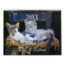 Suche nach katze kalender Schön