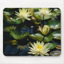 Suche nach zen lotus mousepads Wasserlilie