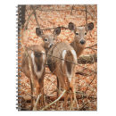 Suche nach verblassen kleine notizbücher Natur