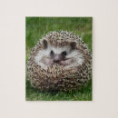 Suche nach igel puzzle Jede person