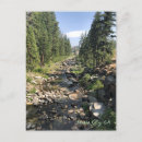 Suche nach california postkarten Camping