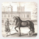 Suche nach andalusien aufkleber Pferd