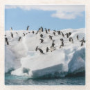 Suche nach eisberg untersetzer Pinguin