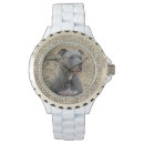 Suche nach funktionshund accessoires Hunde