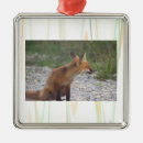 Suche nach fuchs ornamente Für alle