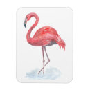 Suche nach fauna magnete Aquarell