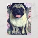 Suche nach mops zu postkarten Niedlich