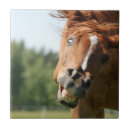 Suche nach braunes pferd fliesen Lustig