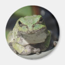 Suche nach baumfrösche magnete Kröte