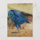 Suche nach schwarzer rabe postkarten Dunkel