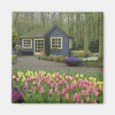 Suche nach keukenhof magnete Blume