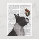 Suche nach boston terrier postkarten Niedliche bostoner terrier