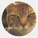 Suche nach wütende katze aufkleber Gruselig