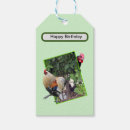 Suche nach huhn geschenkanhänger Vogelvogel