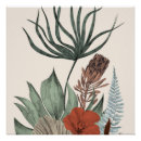 Suche nach botanisch poster Darstellung