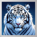Suche nach blauer tiger poster Blaue augen