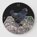 Suche nach huhn wanduhren Hahn