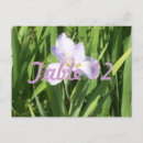 Suche nach lila iris postkarten Blumenreich