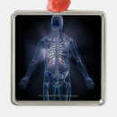 Suche nach transparent ornamente Körper