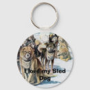 Suche nach schlittenhund accessoires Welpen