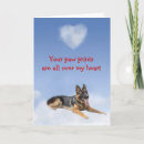 Suche nach schutzhund alle karten Jungtier