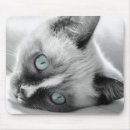 Suche nach blaue augen mousepads Kätzchen