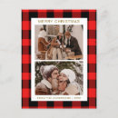 Suche nach büffel foto postkarten Weihnachtskarte für foto