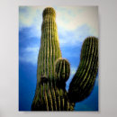 Suche nach phoenix poster Saguaro