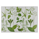 Suche nach kraut schneidebrettchen Gewürze